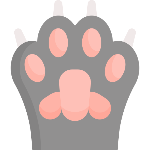pata